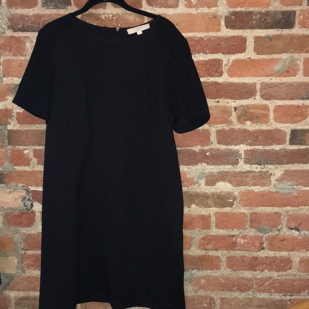 Ann Taylor Loft Dress